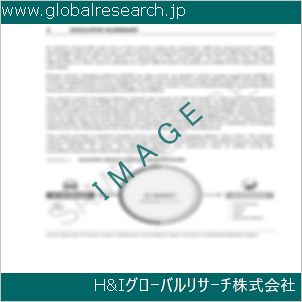 グローバルリサーチ調査資料のイメージ
